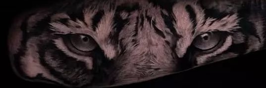 ddavonlew's profile banner image