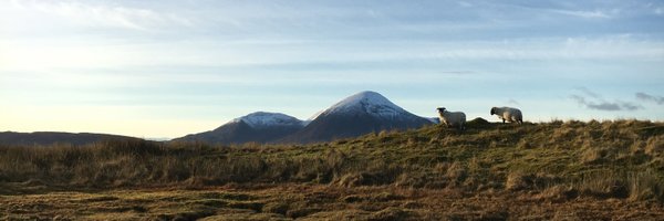 apsbrogan Profile Banner
