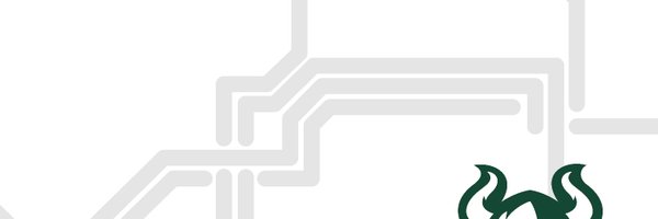 psuviks Profile Banner