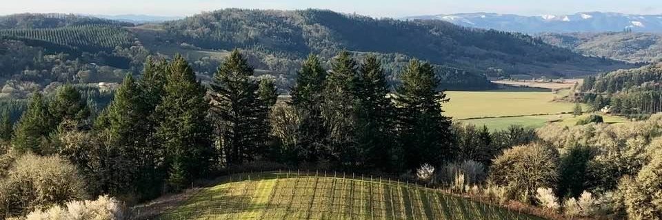 Jodie DeJonge banner