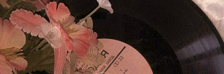 MyLarrieTears's profile banner image