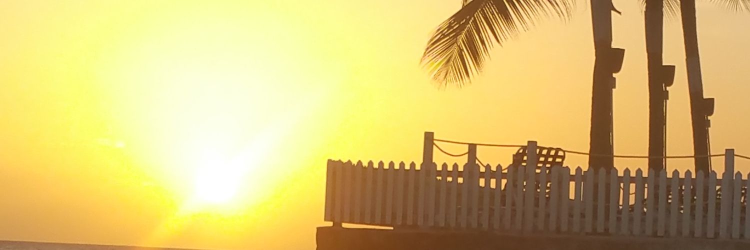 ruthsmith494's profile banner image
