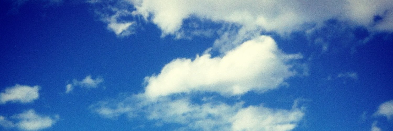 brydennev's profile banner image