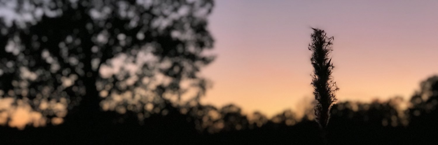 Jmax0531's profile banner image