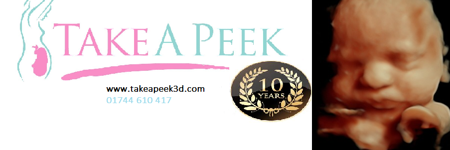 TakeAPeek3D's profile banner image