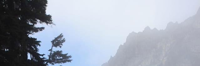 DevSneed93's profile banner image
