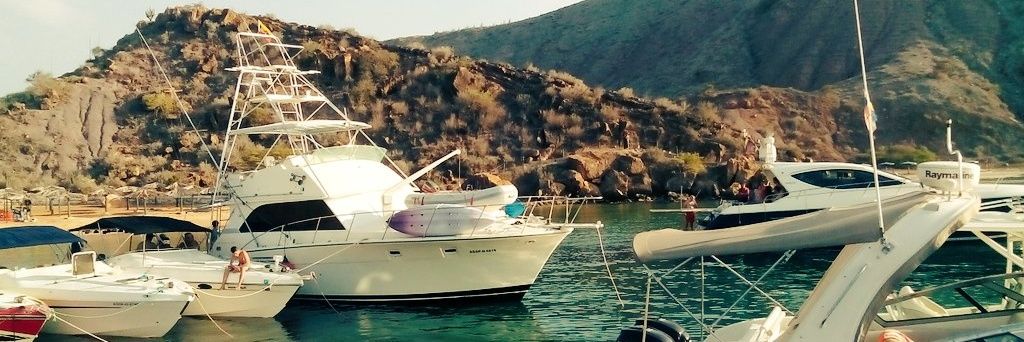 boat_management's profile banner image