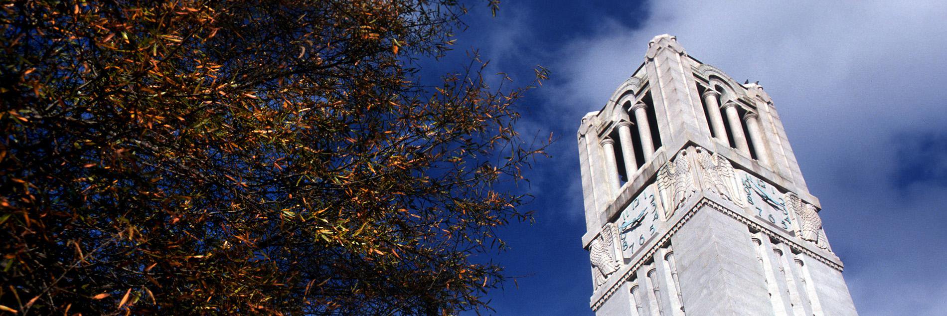 cidoyle_ncstate's profile banner image