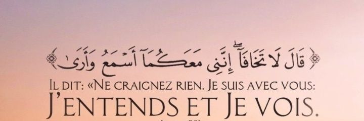 𝒍𝒐y𝒂𝒍 banner