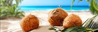 SA_Coconut_07's profile banner image