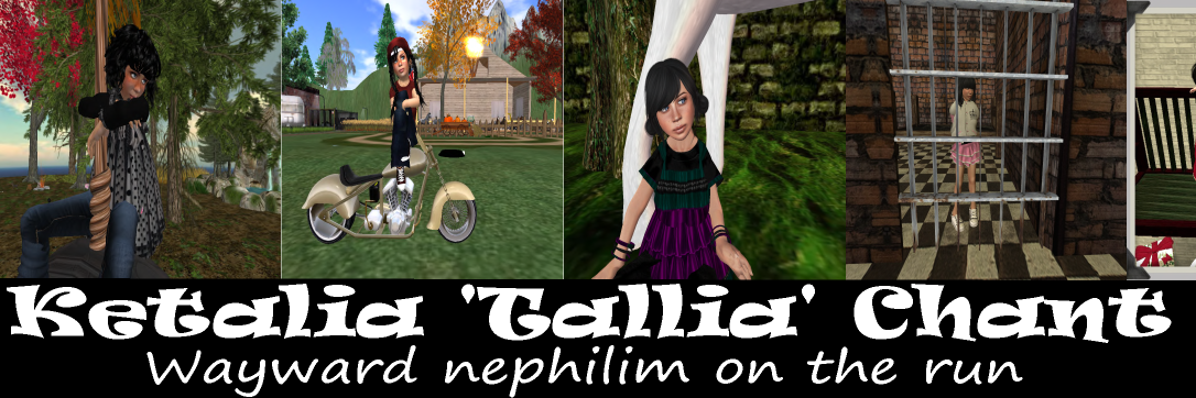 TalliaChant's profile banner image