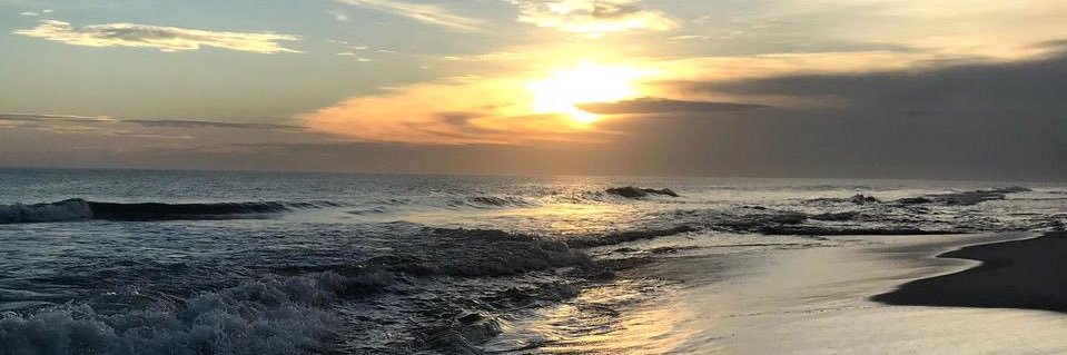 euvh33's profile banner image