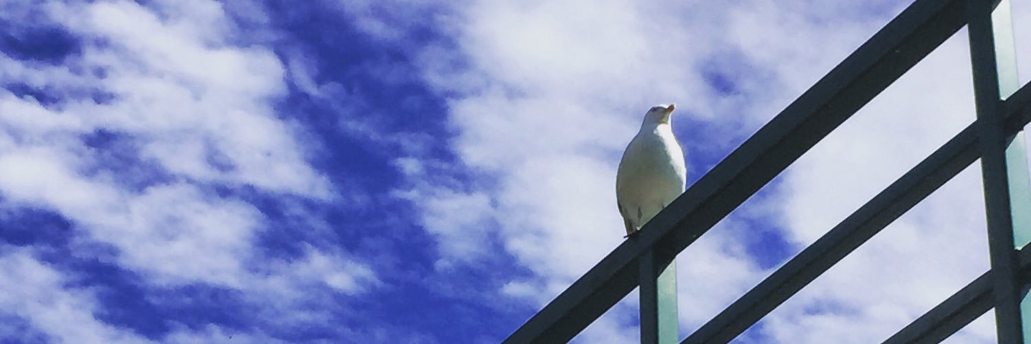 roolbrittania's profile banner image