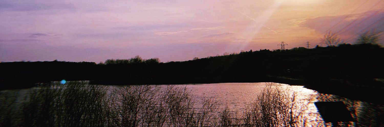 WhittneyNik's profile banner image