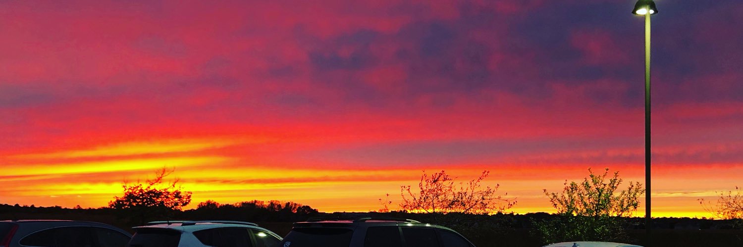 Jennifer Allen 🐘❤️ banner