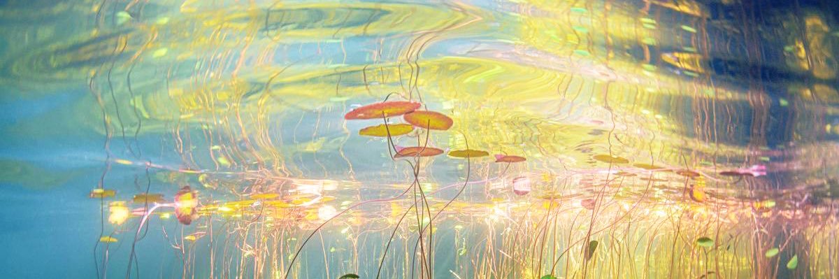 tweedthey's profile banner image