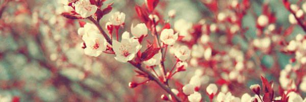 putrisuzann Profile Banner