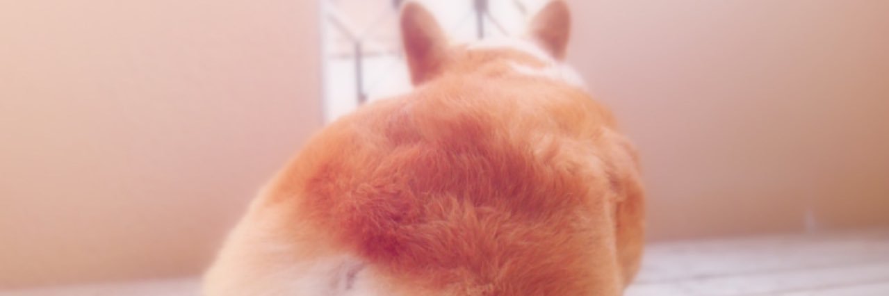 miou_m's profile banner image