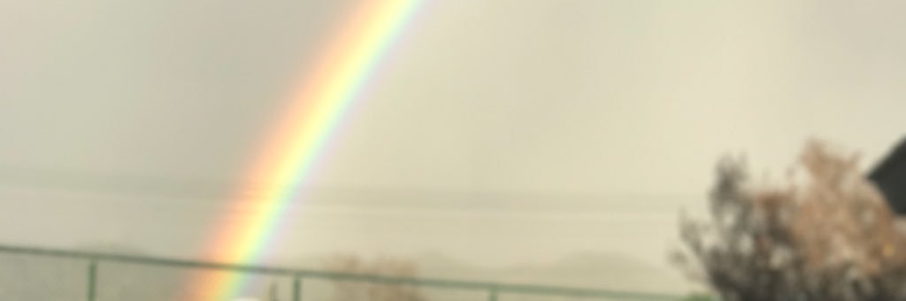 randomxoxousern's profile banner image