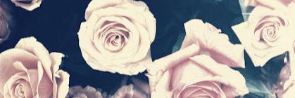 Mvrvanlaarhoven's profile banner image