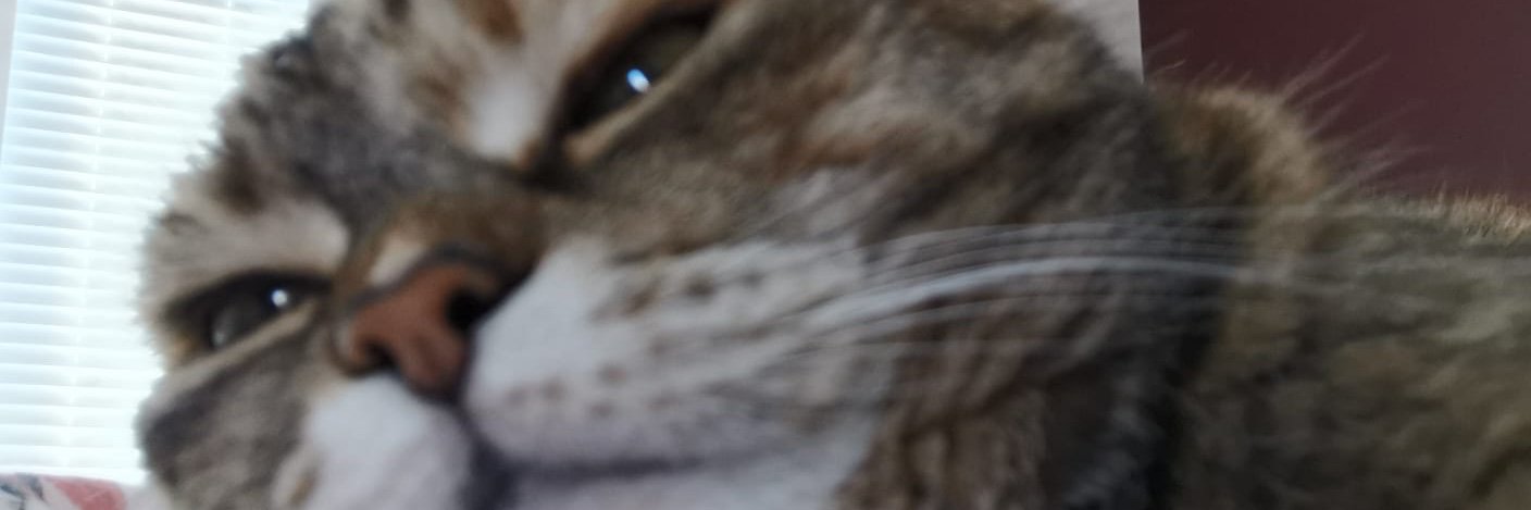 Estreetpaul's profile banner image