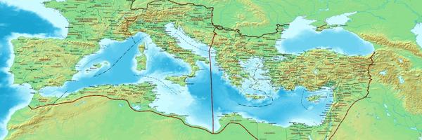 paedia Profile Banner