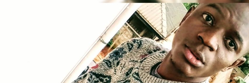 DMendovil's profile banner image
