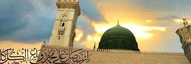 daihamidah's profile banner image