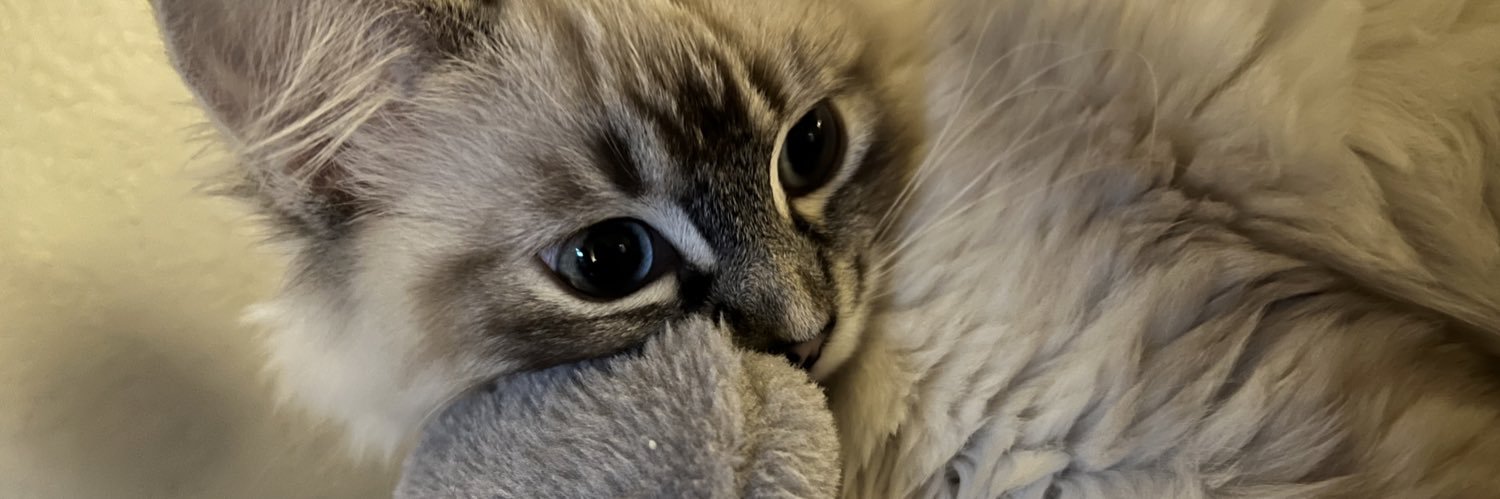 lunarmud's profile banner image