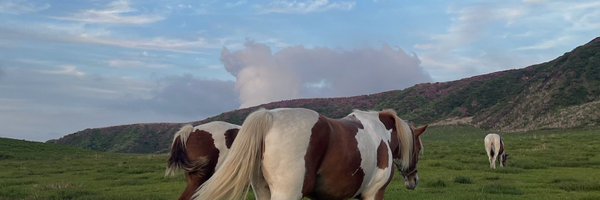 cie7le Profile Banner