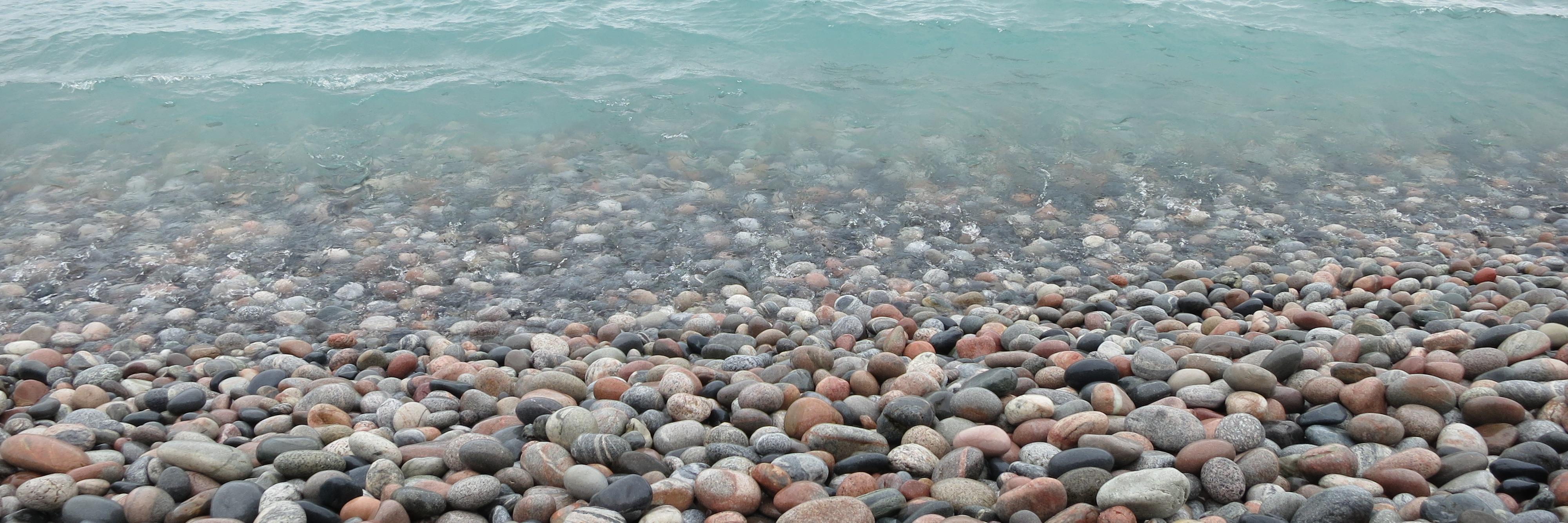 Michael Leannah banner