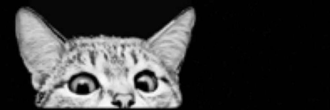 Special_7007's profile banner image