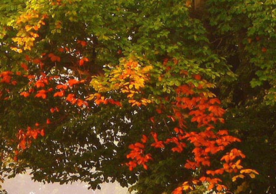 ateraman's profile banner image