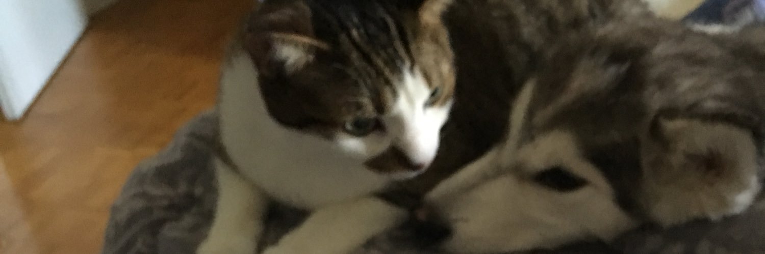 Meh_maybe's profile banner image