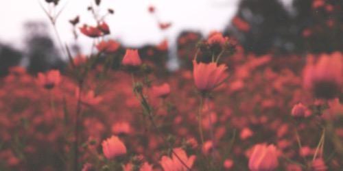 TheNotebookRPG's profile banner image