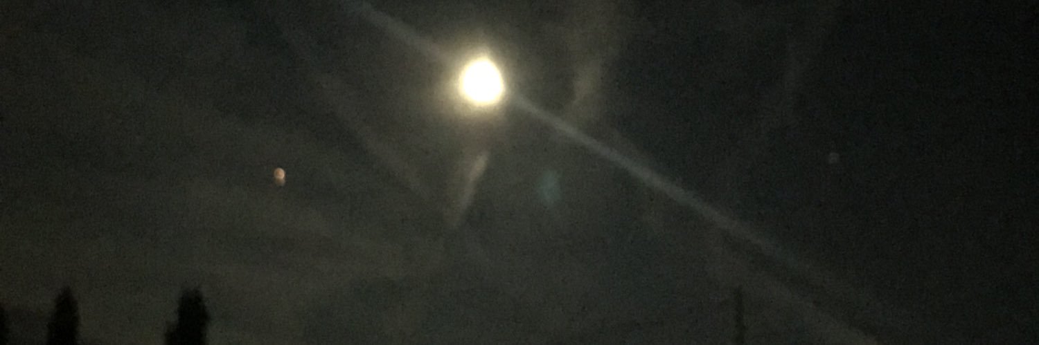 senisible1's profile banner image