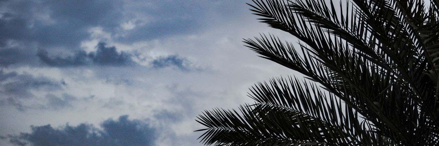 _Eng__Ali_'s profile banner image