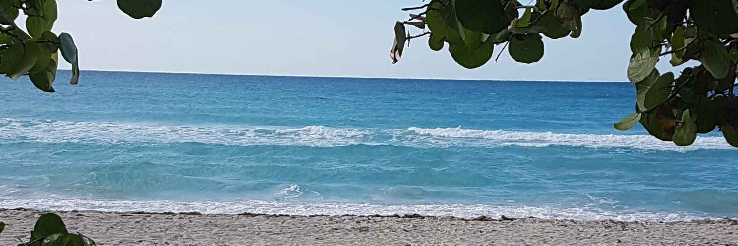 marialmol's profile banner image