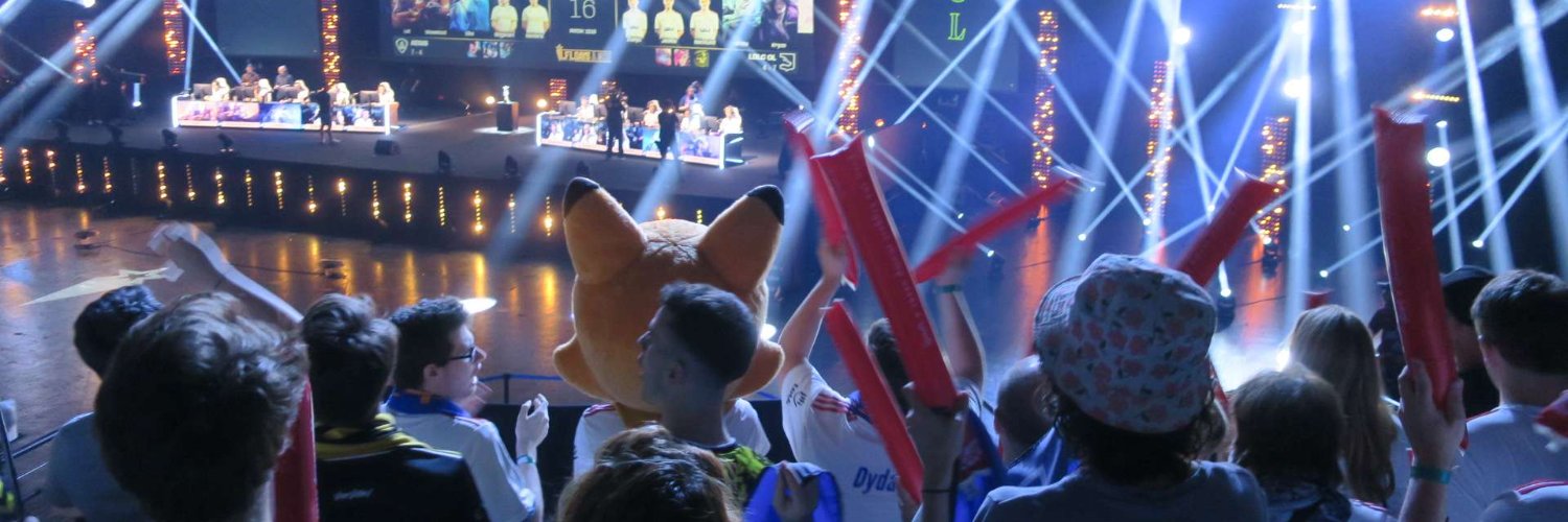 LDLC OL 🦊 banner