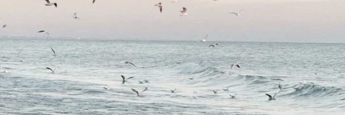 aliefiaaa's profile banner image