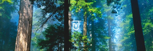 Joaokers's profile banner image
