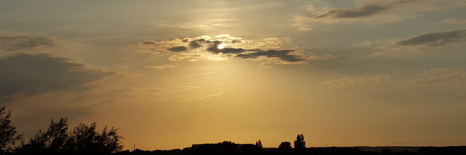 Kevin de Vries banner