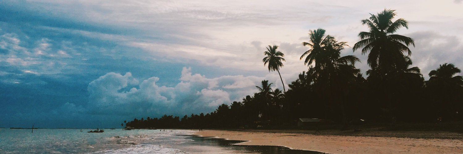 pedroportof's profile banner image