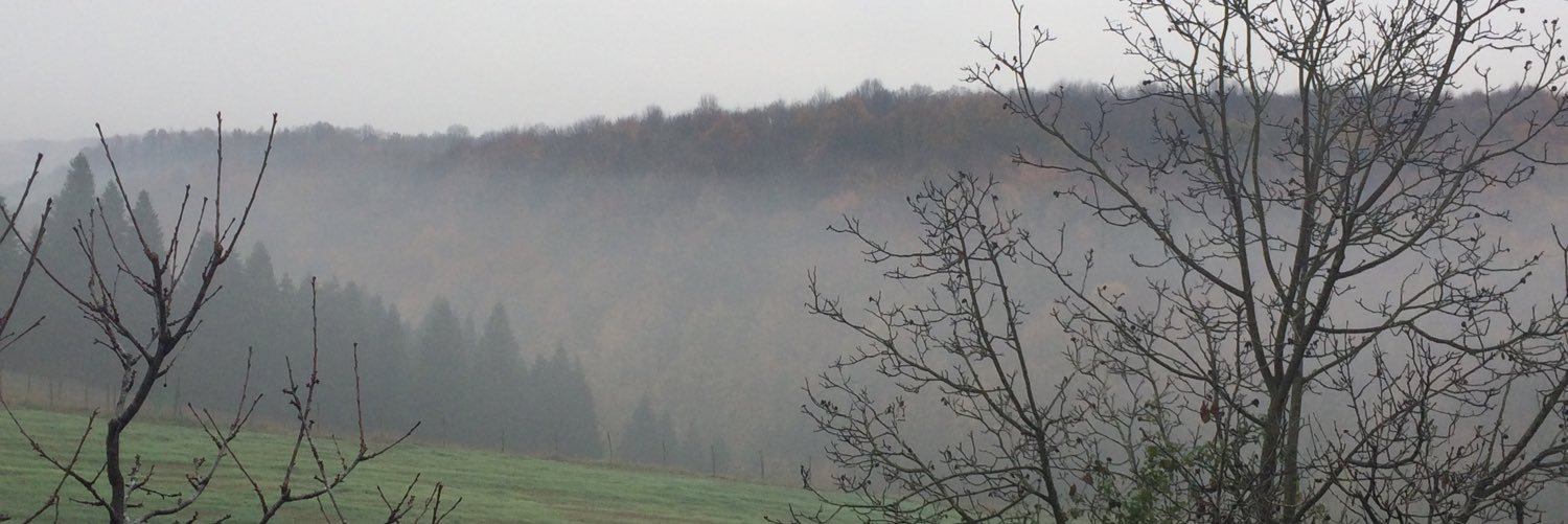 Fernandomaccel's profile banner image