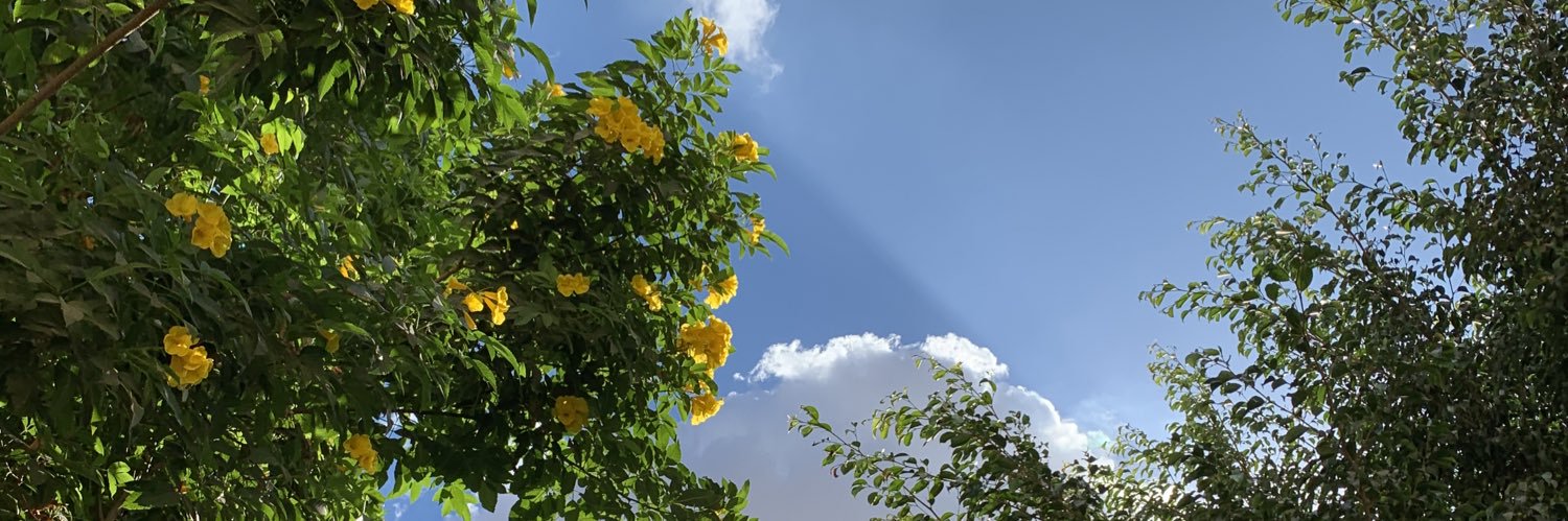 ahmdd_saidd's profile banner image