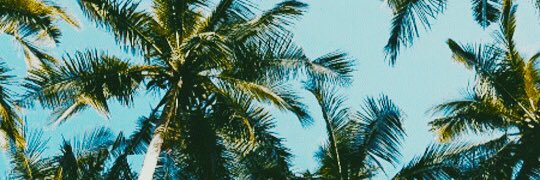 nowayleah's profile banner image