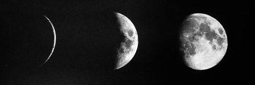 selingkce5's profile banner image