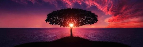 AugLubowa Profile Banner