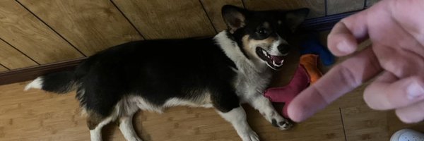 notbrian__ Profile Banner