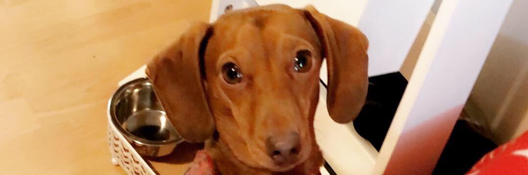 hannah_watson28's profile banner image